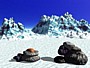 snow1.JPG