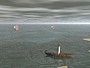 tresr iland5.jpg