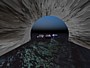 tunal 57chv.jpg